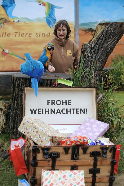 2015-12-21 08-43-31.JPG